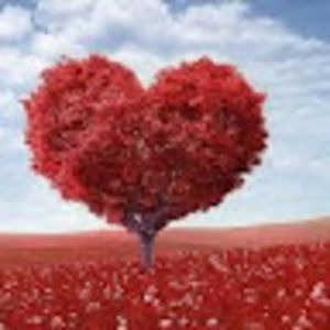 Meet your Posher, Kids